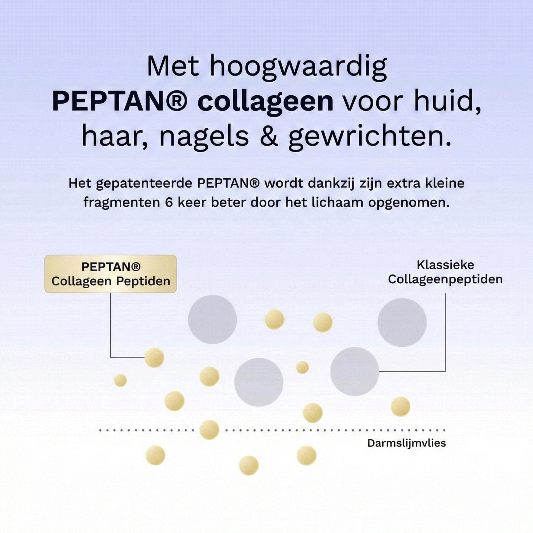 Collageen met Rejuva Complex®-formule